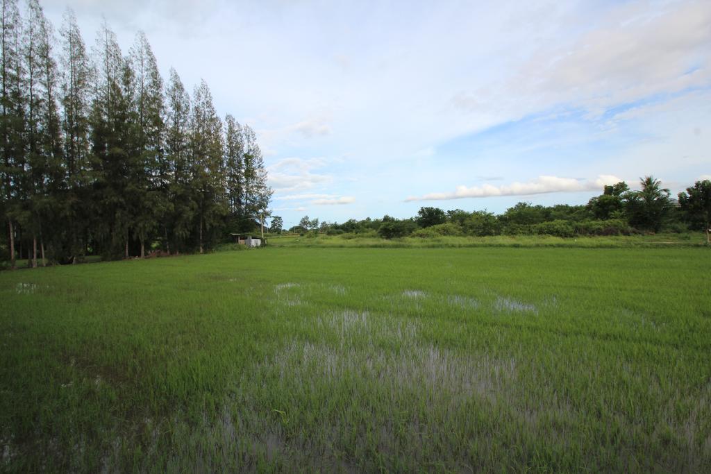 Ban Huai Sua On Green Resort מראה חיצוני תמונה